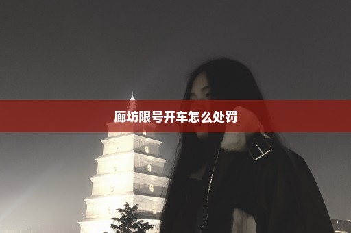廊坊限号开车怎么处罚