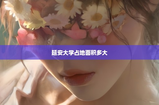 延安大学占地面积多大