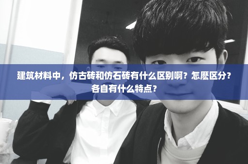 建筑材料中，仿古砖和仿石砖有什么区别啊？怎麽区分？各自有什么特点？