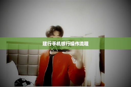 建行手机银行操作流程