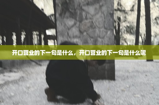 开口营业的下一句是什么，开口营业的下一句是什么呢 
