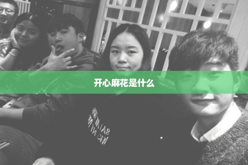 开心麻花是什么