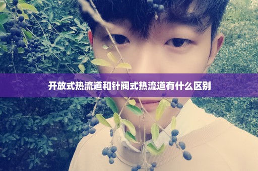 开放式热流道和针阀式热流道有什么区别