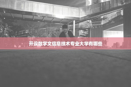 开设数字文信息技术专业大学有哪些