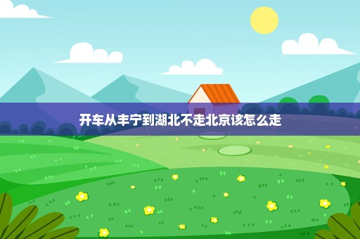 开车从丰宁到湖北不走北京该怎么走