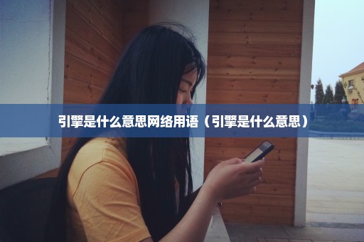引擎是什么意思网络用语（引擎是什么意思）