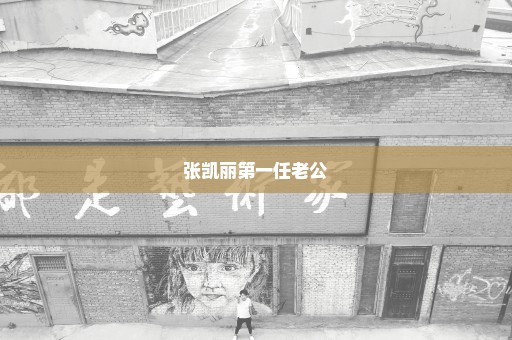 张凯丽第一任老公