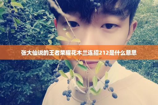 张大仙说的王者荣耀花木兰连招212是什么意思