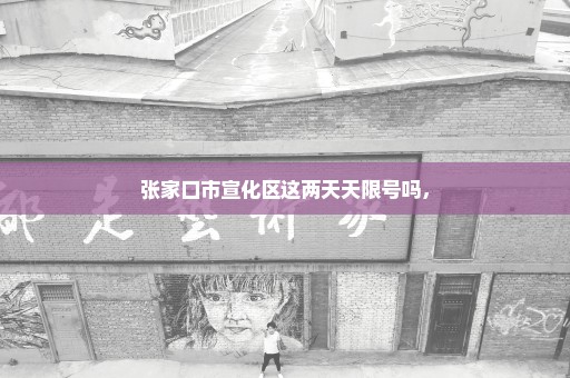 张家口市宣化区这两天天限号吗，