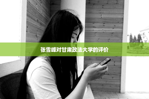 张雪峰对甘肃政法大学的评价