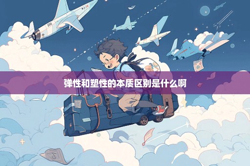 弹性和塑性的本质区别是什么啊
