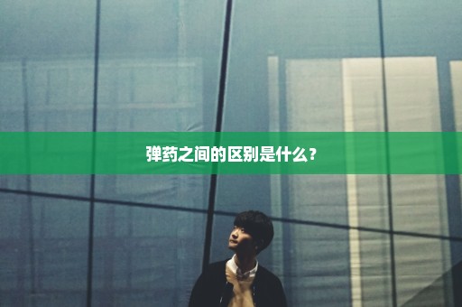 弹药之间的区别是什么？