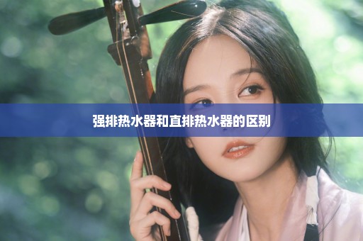 强排热水器和直排热水器的区别