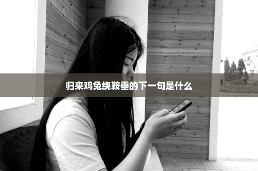 归来鸡兔绕鞍垂的下一句是什么