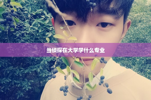 当侦探在大学学什么专业
