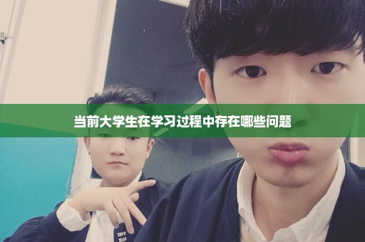 当前大学生在学习过程中存在哪些问题