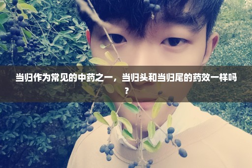 当归作为常见的中药之一，当归头和当归尾的药效一样吗？