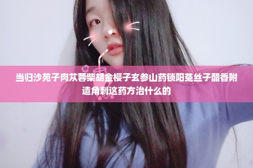 当归沙苑子肉苁蓉柴胡金樱子玄参山药锁阳菟丝子醋香附造角刺这药方治什么的