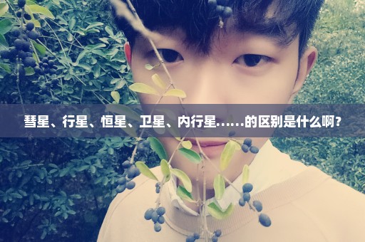 彗星、行星、恒星、卫星、内行星……的区别是什么啊？