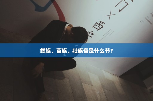 彝族、苗族、壮族各是什么节？