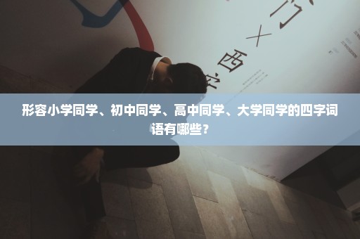 形容小学同学、初中同学、高中同学、大学同学的四字词语有哪些？