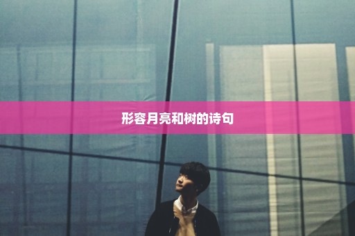形容月亮和树的诗句