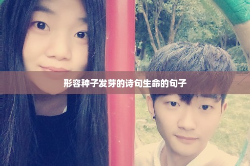 形容种子发芽的诗句生命的句子