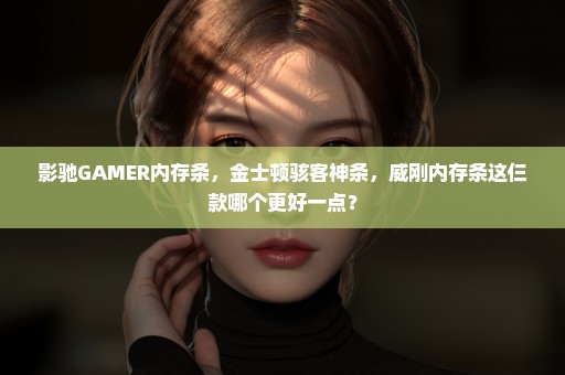 影驰GAMER内存条，金士顿骇客神条，威刚内存条这仨款哪个更好一点？