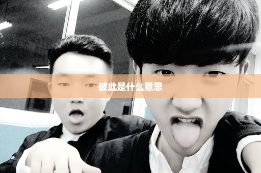 彼此是什么意思