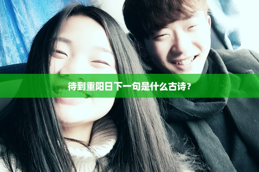 待到重阳日下一句是什么古诗？
