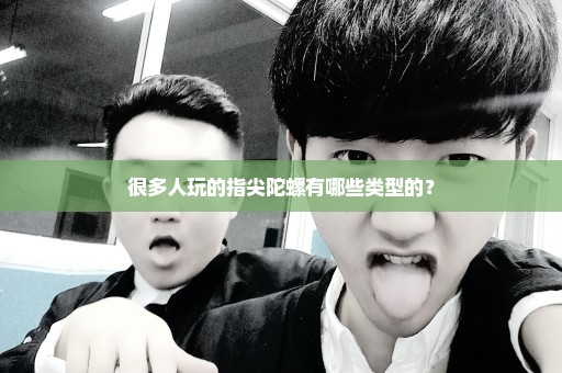 很多人玩的指尖陀螺有哪些类型的？