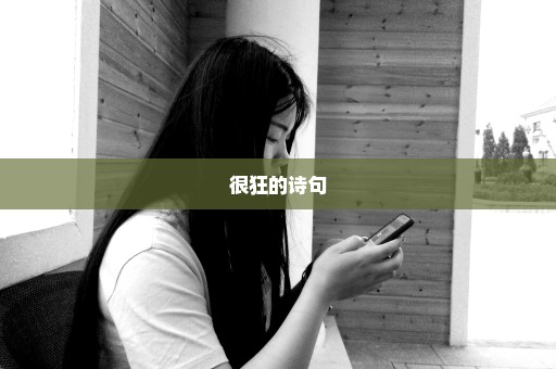 很狂的诗句