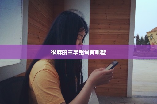 很胖的三字组词有哪些