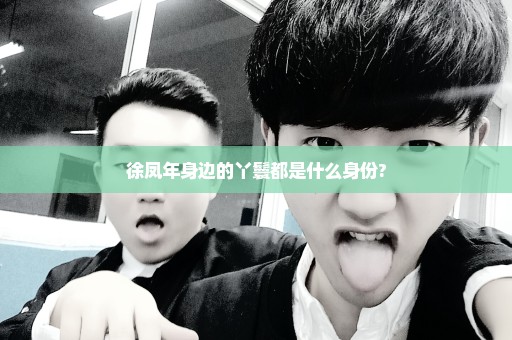 徐凤年身边的丫鬟都是什么身份?