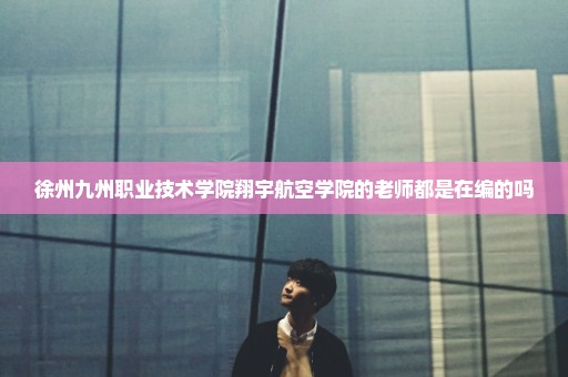 徐州九州职业技术学院翔宇航空学院的老师都是在编的吗