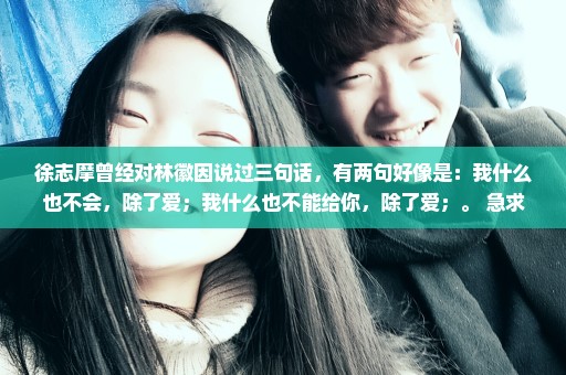徐志摩曾经对林徽因说过三句话，有两句好像是：我什么也不会，除了爱；我什么也不能给你，除了爱；。 急求
