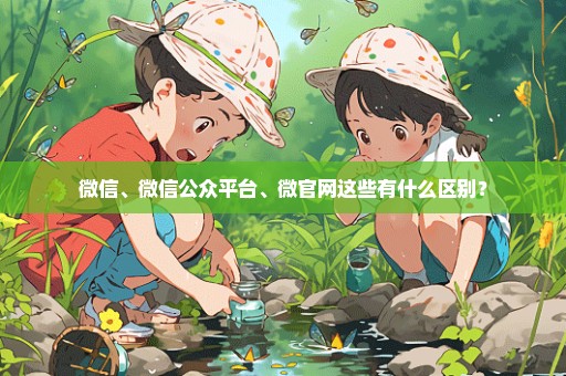 微信、微信公众平台、微官网这些有什么区别？