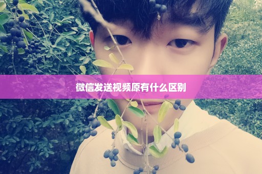 微信发送视频原有什么区别