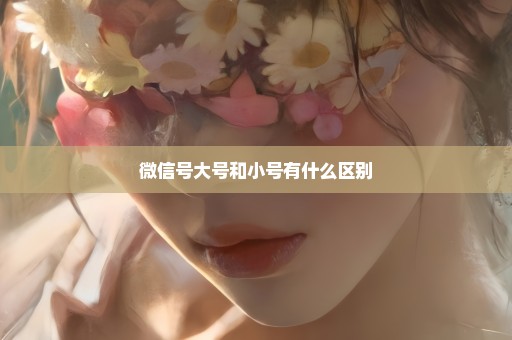 微信号大号和小号有什么区别