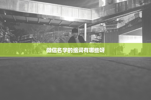 微信名字的组词有哪些呀