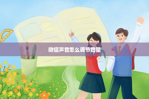 微信声音怎么调节音量