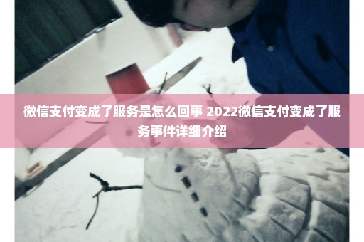 微信支付变成了服务是怎么回事 2022微信支付变成了服务事件详细介绍