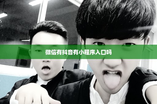 微信有抖音有小程序入口吗