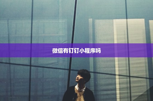微信有钉钉小程序吗