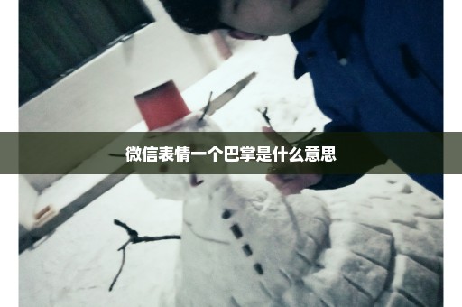 微信表情一个巴掌是什么意思