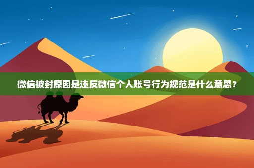 微信被封原因是违反微信个人账号行为规范是什么意思？