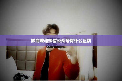 微商城和微信公众号有什么区别