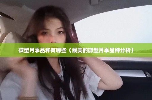 微型月季品种有哪些（最美的微型月季品种分析）