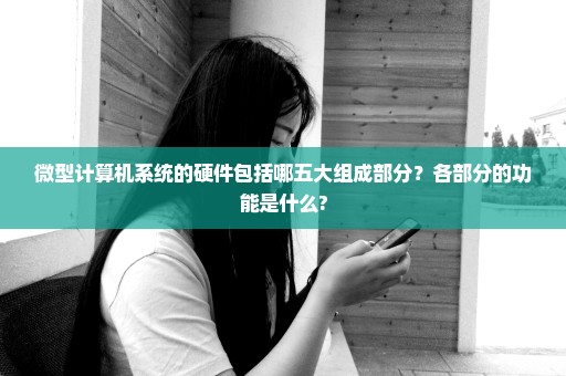 微型计算机系统的硬件包括哪五大组成部分？各部分的功能是什么?