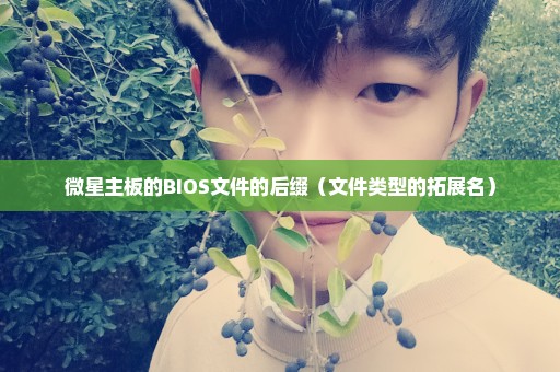 微星主板的BIOS文件的后缀（文件类型的拓展名）